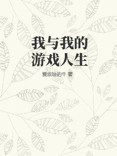 我与我的游戏人生