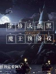 霍格沃兹的至尊黑魔王